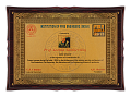 "FIRE INDIA-2015" - International exhibition of fire protection devices