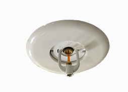 Escutcheon