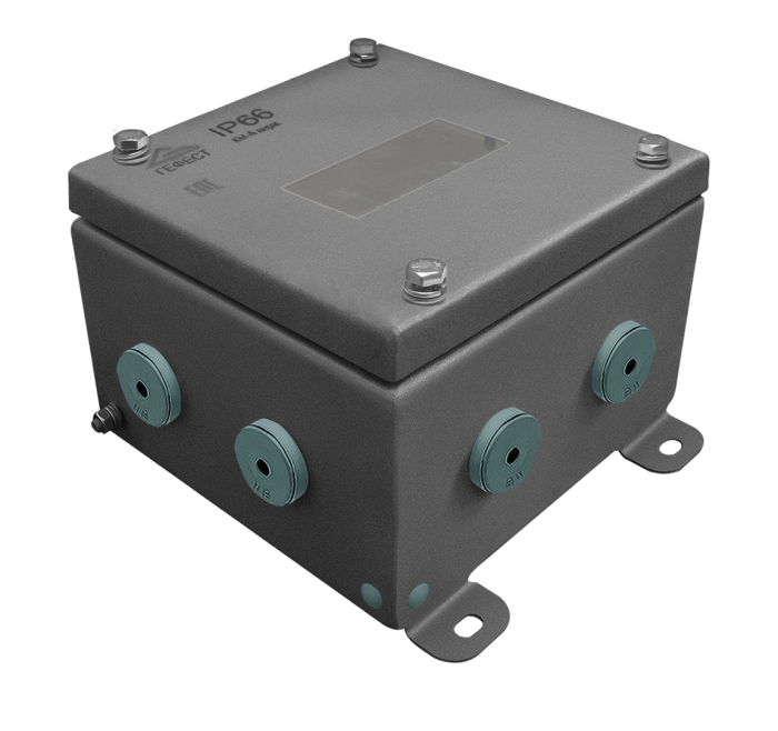 Distribution boxes IP66(R) with sight glass from stainless steel