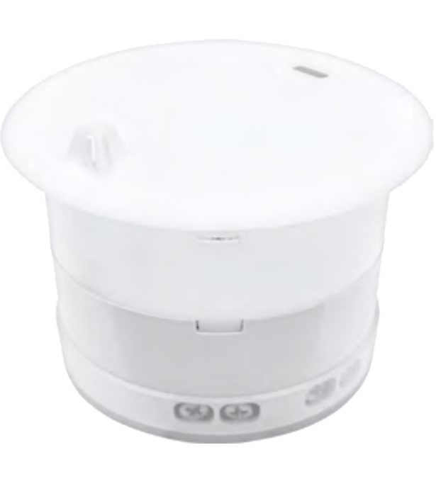 Concealed standard  sprinklers